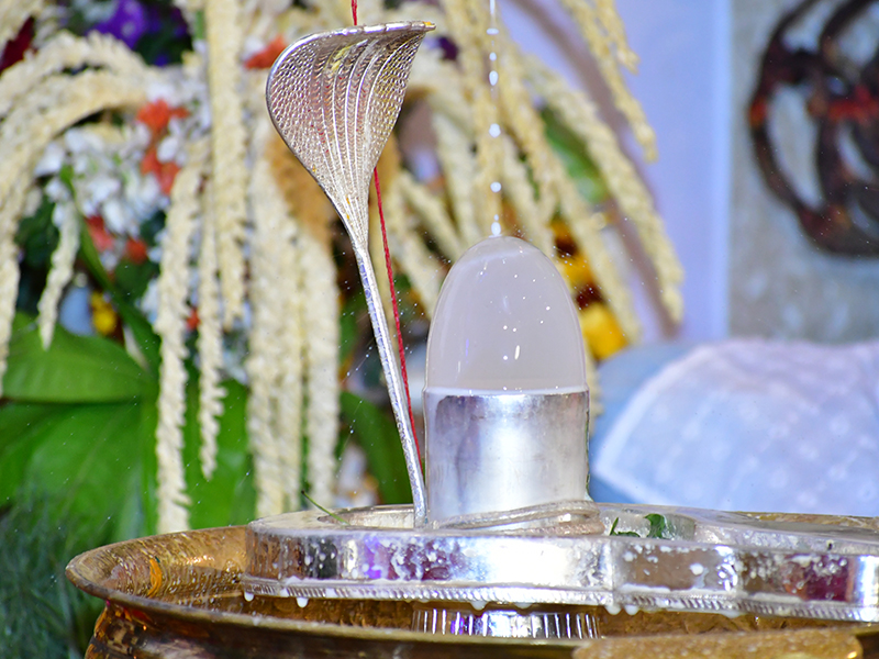 festival-mahashivratri-2020 (11)